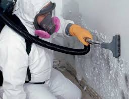 Best Comprehensive Air Testing for Mold Contaminants  in Bethel, AK